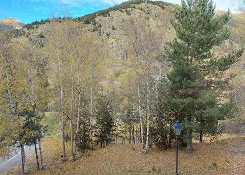 Apartamento Cálido Estudio Con Preciosas Vistas A La Montaña
